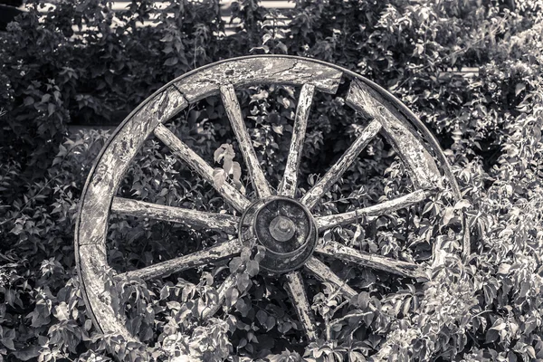 Gamla trasiga wagon wheel — Stockfoto