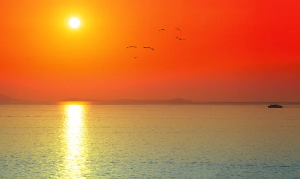 Amazing verão amanhecer vermelho — Fotografia de Stock