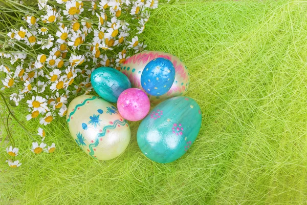 Margherite bianche fresche con uova di Pasqua e raggi del sole — Foto Stock