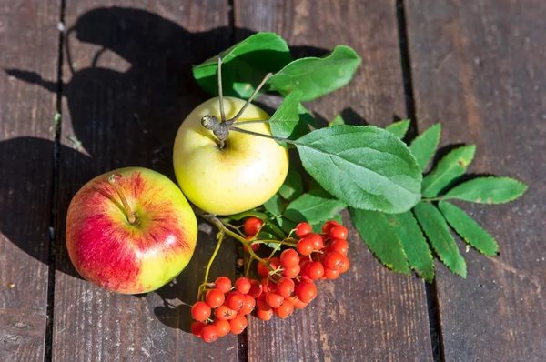 Apples and mountain ash — Stock Photo, Image