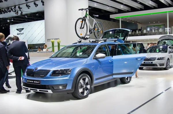 Scout skoda octavia —  Fotos de Stock