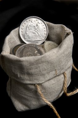 ABD eski gümüş dolar