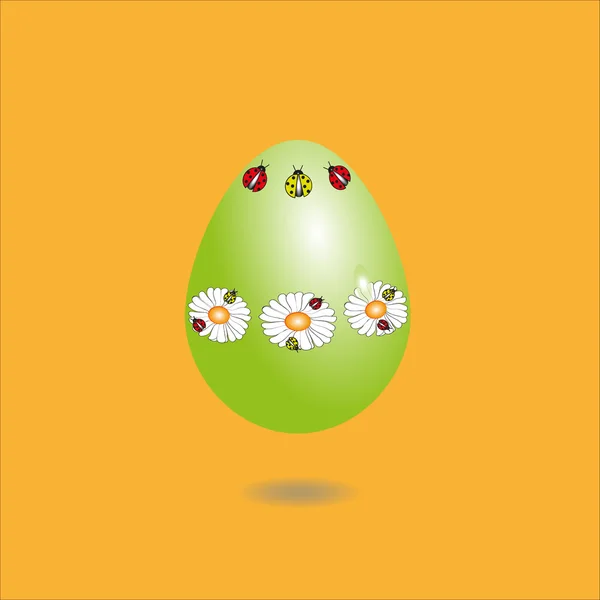 Illustration green egg with daisies — Stock Vector