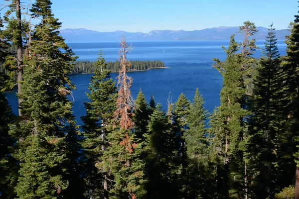 Słoneczny Widok Jesieni Malownicze Jezioro Tahoe Kultowego Inspiration Point Widokiem — Zdjęcie stockowe