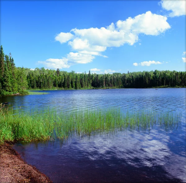 Cênico Homer Lake - Minnesota Boundary Waters Área de Canoa Wilderness — Fotografia de Stock