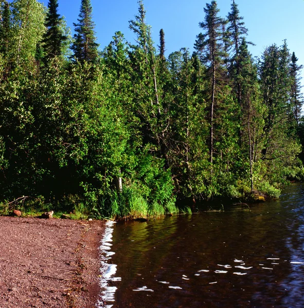 Scenic brule Gölü-Minnesota sınır suları Kano alanı Wilderness — Stok fotoğraf