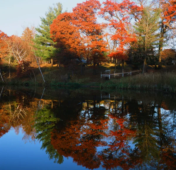 Autumn Foliage Reflections On Martin Lake - Minnesota — Stock Photo, Image