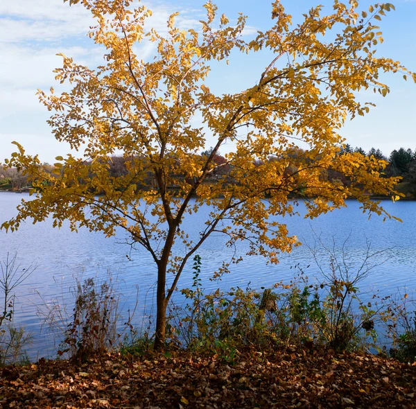 Egy őszi tóparti kilátás - Minnesota — Stock Fotó