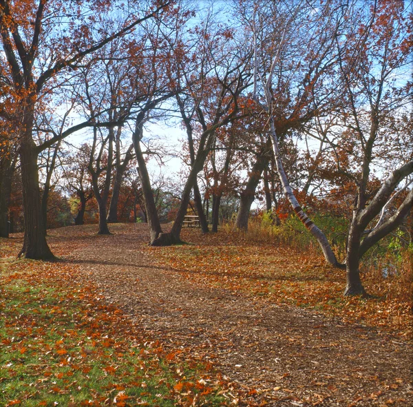 Herbst-Essay im Silverwood Park - minnesota — Stockfoto