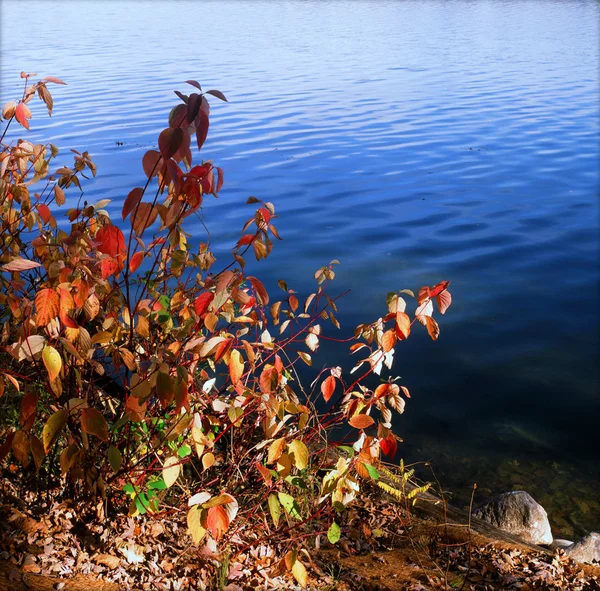 Couleur lueur sur la rive du lac Johanna Minnesota — Photo