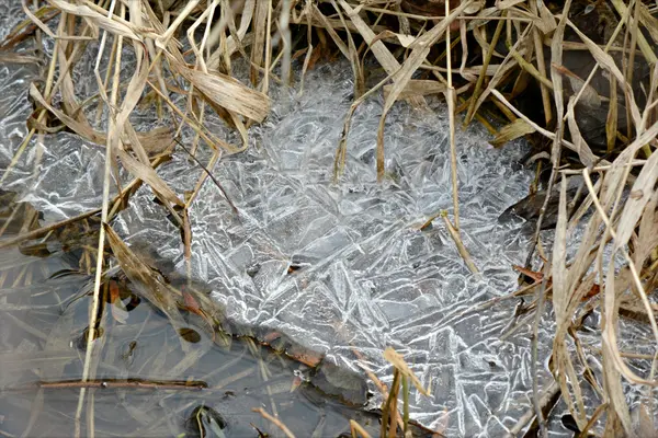 Eiskristalle des Springbachs — Stockfoto