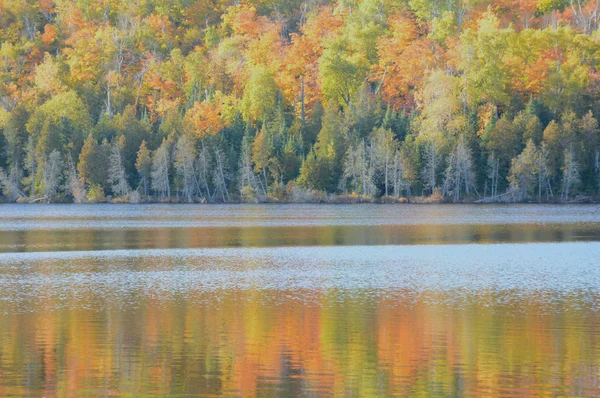 Reflexiones del Lago Liebre - Bosque Nacional Superior — Foto de Stock