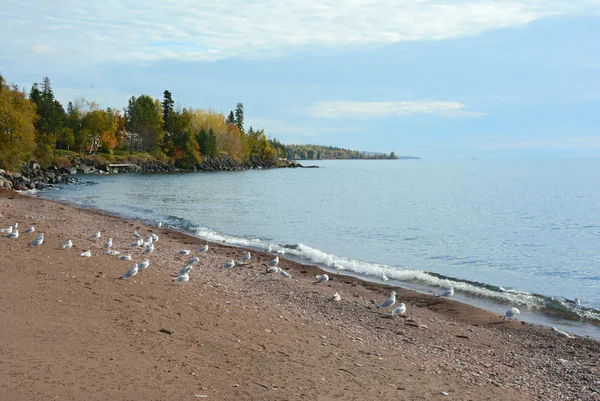 Őszi szempontból - tó Superior North Shore — Stock Fotó