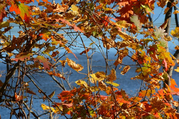 Окно Осенней реки — стоковое фото