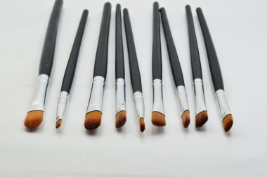 makyaj fırçası izole