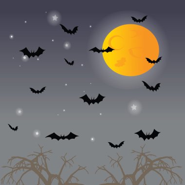 Gökyüzü gece arka plan ve yarasa