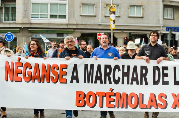 Demostración ecológica en Madrid (España) ) — Foto de Stock