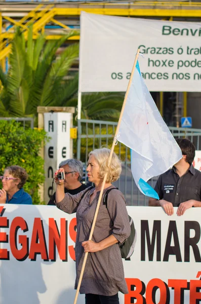 Ökologische Demonstration in Galicien (Spanien)) — Stockfoto