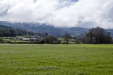Ventosa, Galiçya 'nın Agolada belediyesinde (İspanya) kırsal otlatma alanı)