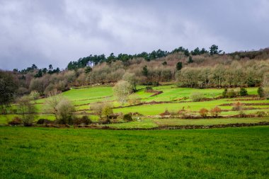 Ventosa, Galiçya 'nın Agolada belediyesinde (İspanya) kırsal otlatma alanı)