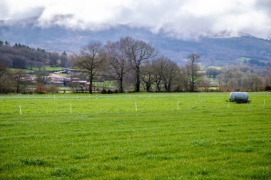 Ventosa, Galiçya 'nın Agolada belediyesinde (İspanya) kırsal otlatma alanı)