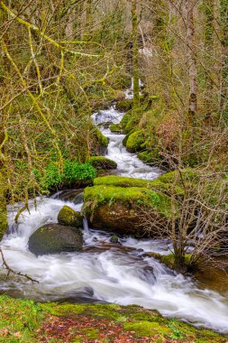 Furelos nehri bölümü, San Antolin de Toques Kilisesi yakınlarında, Roma öncesi dönem, Galiçya, Toques belediyesinde yer almaktadır..