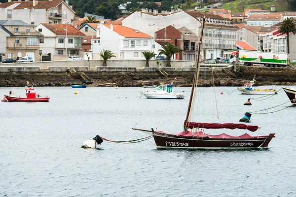 Illa Arousa Spagna Febbraio 2019 Barche Pesca Nel Porto Peschereccio — Foto Stock