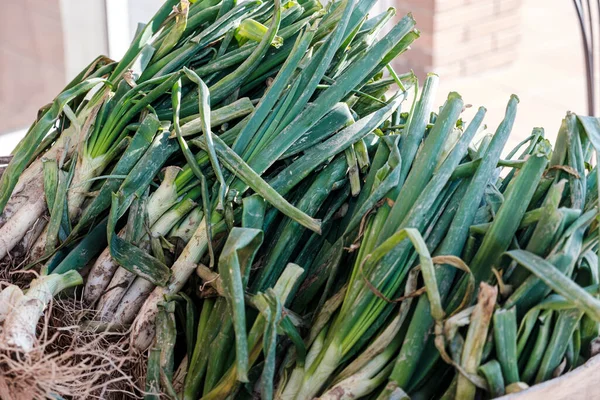 Detalj Tillagning Calsots Anbud Lök Mycket Typiskt För Katalonien Där — Stockfoto