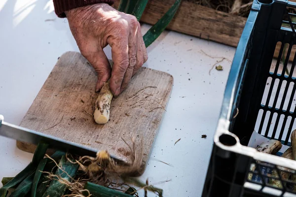 Detalle Preparación Calsots Una Cebolla Tierna Muy Típica Cataluña Donde —  Fotos de Stock