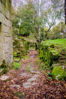 Portekiz 'deki Orman Kompleksi, Kilise ve Manastırı, Benedikt kompleksi, Romanesk, Roma yapımı, 12. yüzyılın ikinci yarısına ait..