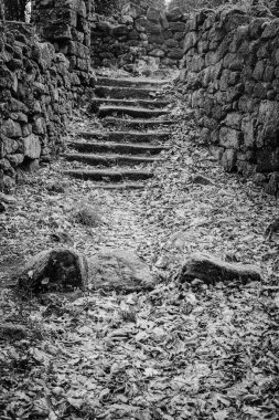 Portekiz 'deki Orman Kompleksi, Kilise ve Manastırı, Benedikt kompleksi, Romanesk, Roma yapımı, 12. yüzyılın ikinci yarısına ait..