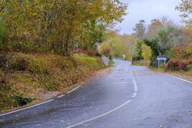 Galiçya 'nın iç kesimlerinde yağmurdan dolayı kıvrımlı ve ıslanmış yalnız bir yol (İspanya))