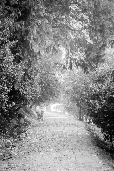 Caminho Com Camélias Bancos Ferro Nos Jardins Castillo Soutomaior Pontevedra — Fotografia de Stock