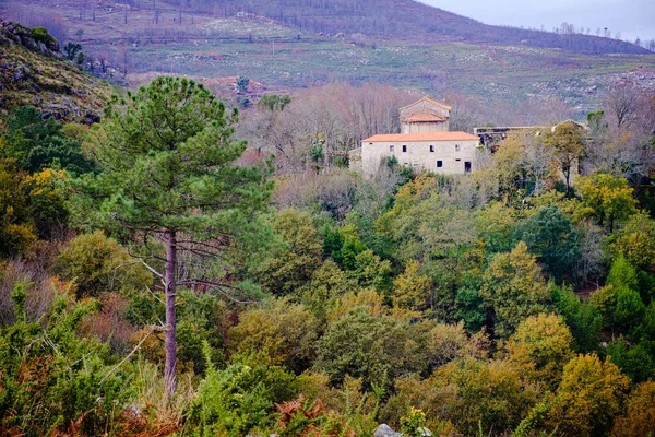 森の複合体の詳細情報 ポルトガルのサンフィンの教会と修道院 ベネディクト複合体 ロマネスク様式 ロマネスク様式の建設 12世紀後半からの日付 — ストック写真