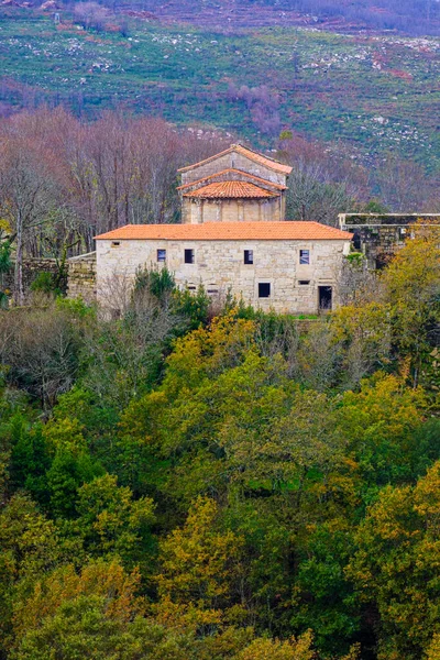 Λεπτομέρεια Του Δασικού Συγκροτήματος Εκκλησία Και Μονή Των Σανφίνων Στην — Φωτογραφία Αρχείου