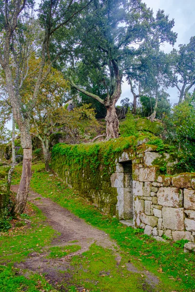 Portekiz Deki Orman Kompleksi Kilise Manastırı Benedikt Kompleksi Romanesk Roma — Stok fotoğraf