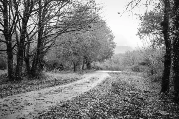 Ländliche Landschaft Landesinneren Von Galicien Spanien Die Besonders Für Die — Stockfoto