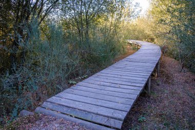 Xinzo de Limia, Ourense 'deki Antelo gölünün yakınındaki ahşap patika (İspanya))