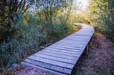 Xinzo de Limia, Ourense 'deki Antelo gölünün yakınındaki ahşap patika (İspanya))