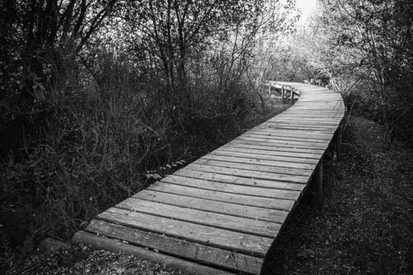 Houten Loopbrug Bij Antelo Lagune Xinzo Limia Ourense Spanje — Stockfoto