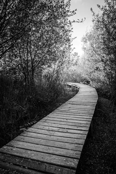 Drewniany Chodnik Niedaleko Laguny Antelo Xinzo Limia Ourense Hiszpania — Zdjęcie stockowe