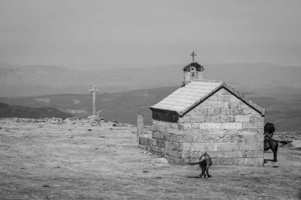 Cavalli Pascolano Vicino Una Piccola Cappella Nella Sierra Cando Galizia — Foto Stock