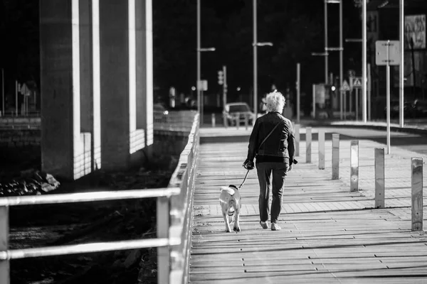 Pontevedra Spanien August 2018 Eine Frau Geht Mit Ihrem Hund — Stockfoto