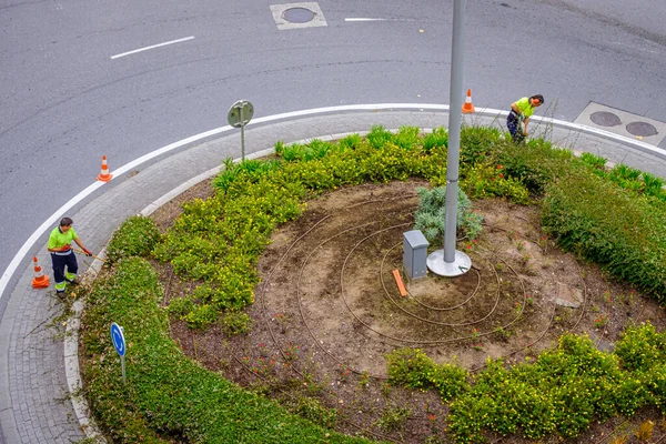 Pontevedra Spanje August 2018 Tuinders Van Gemeenteraad Verzorgen Snoeien Het — Stockfoto