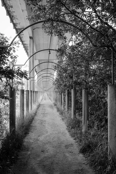 Passagem Sob Viaduto Perto Aldeia Catoira Província Pontevedra Galiza Espanha — Fotografia de Stock