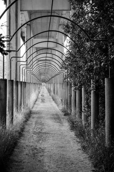 Passage Viaduct Village Catoira Province Pontevedra Galicia Spain — Stock Photo, Image
