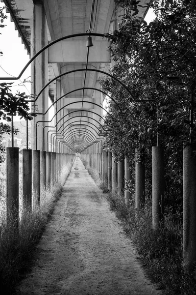 Passage Unter Einem Viadukt Der Nähe Des Dorfes Catoira Der — Stockfoto