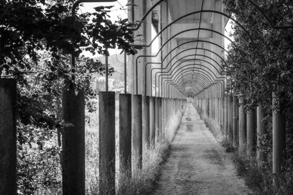 Pasaje Bajo Viaducto Cerca Del Pueblo Catoira Provincia Pontevedra Galicia — Foto de Stock