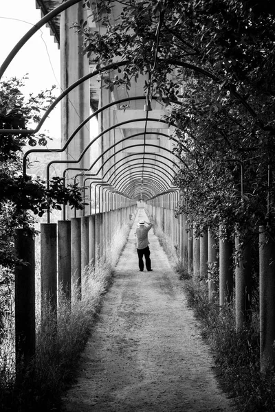 Catoira Espanha Julho 2018 Homem Tira Uma Foto Sob Viaduto — Fotografia de Stock