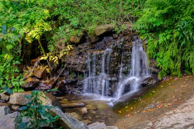 Santa Fe de Montseny 'deki Beech Ormanı' nda küçük bir şelale, Katalonya, İspanya. Katalonya 'da Biyosfer rezervi olarak sınıflandırılan tek doğal parktır..